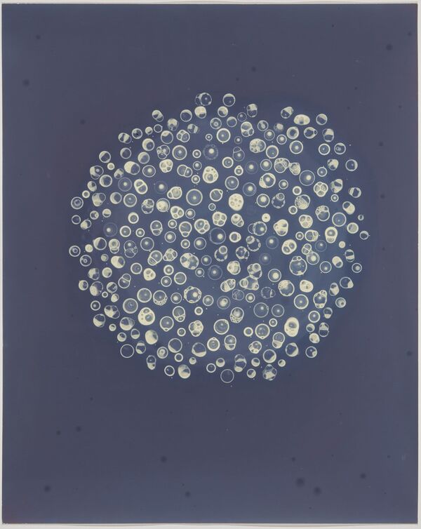 Buoyancy, 2025, 20 x 16 ins.