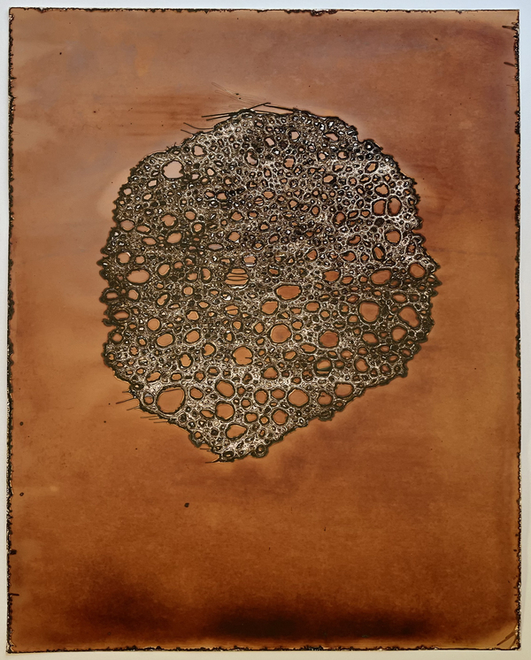 Corpuscle, 2024, 20 x 16 ins.
