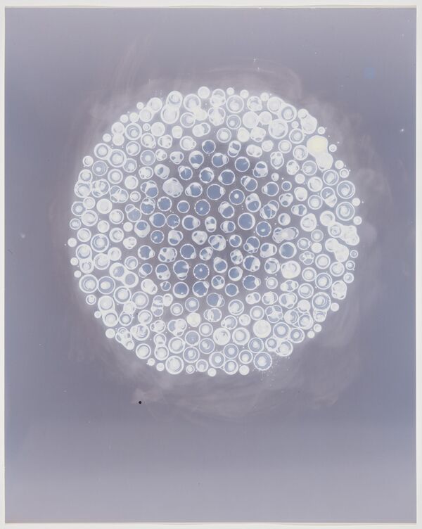 Glowing, 2025, 20 x 16 ins.