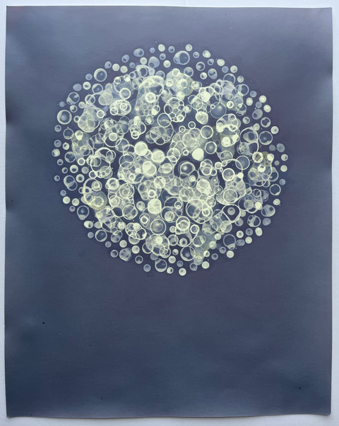 Sea Floor, 2026, 20 x 16 ins.